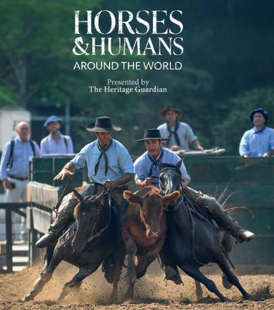 horses and humans